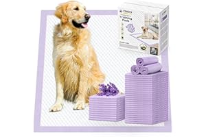 CROCI Dog Pads Extra Large 36x36in, Puppy Pads with Adhesive Tabs Super Absorbent Up to 11 Cups, Disposable (30 Counts)