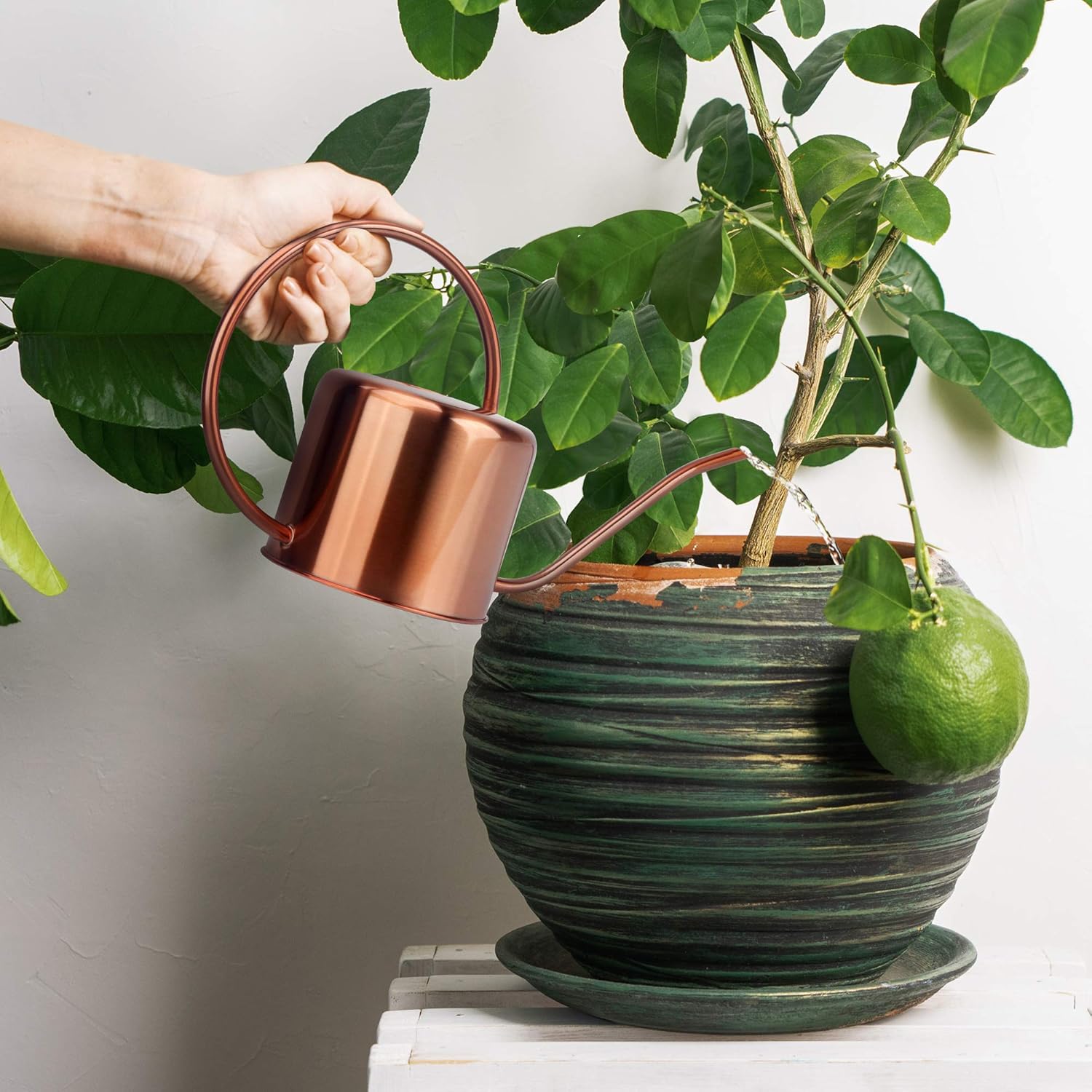 KIBAGA Decorative Copper Colored 40oz Watering Can - Easy Pour Gooseneck Spout for Fast and Easy Indoor Plant Watering : Garden & Outdoor