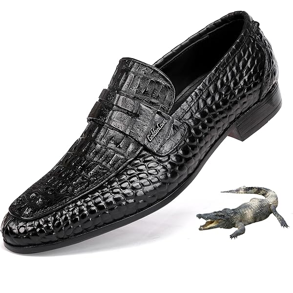 Amazon.com | GOLDEN COXES FAMILY Casual Men display picture 1