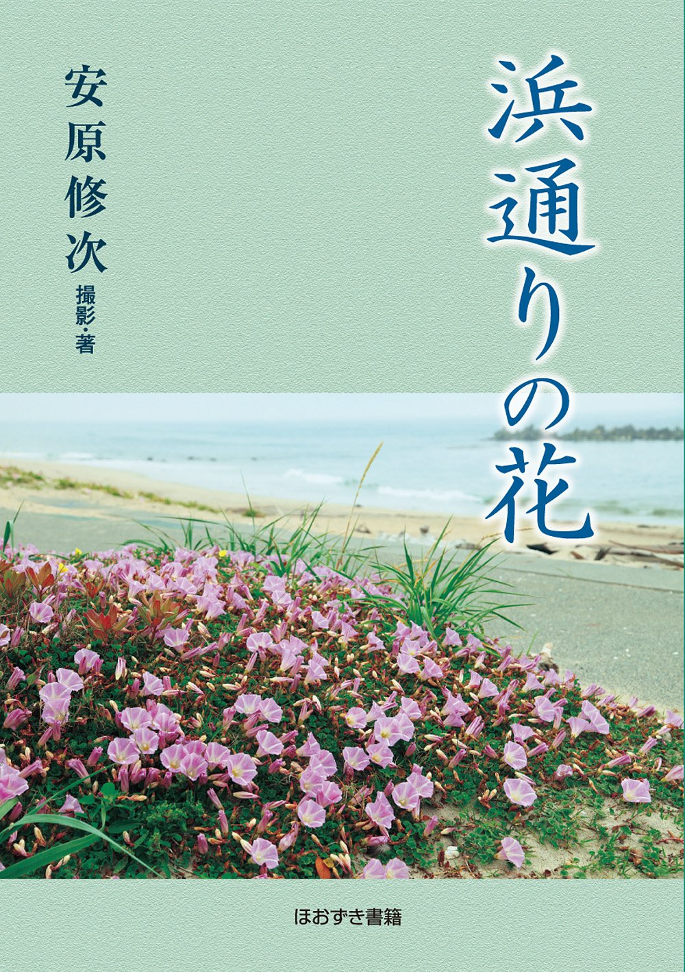 浜通りの花 修次 安原 本 通販 Amazon
