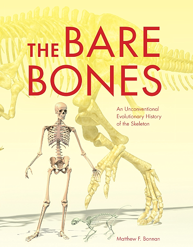 Download The Bare Bones: An Unconventional Evolutionary History of the Skeleton (Life of the Past) (English Edition) PDF