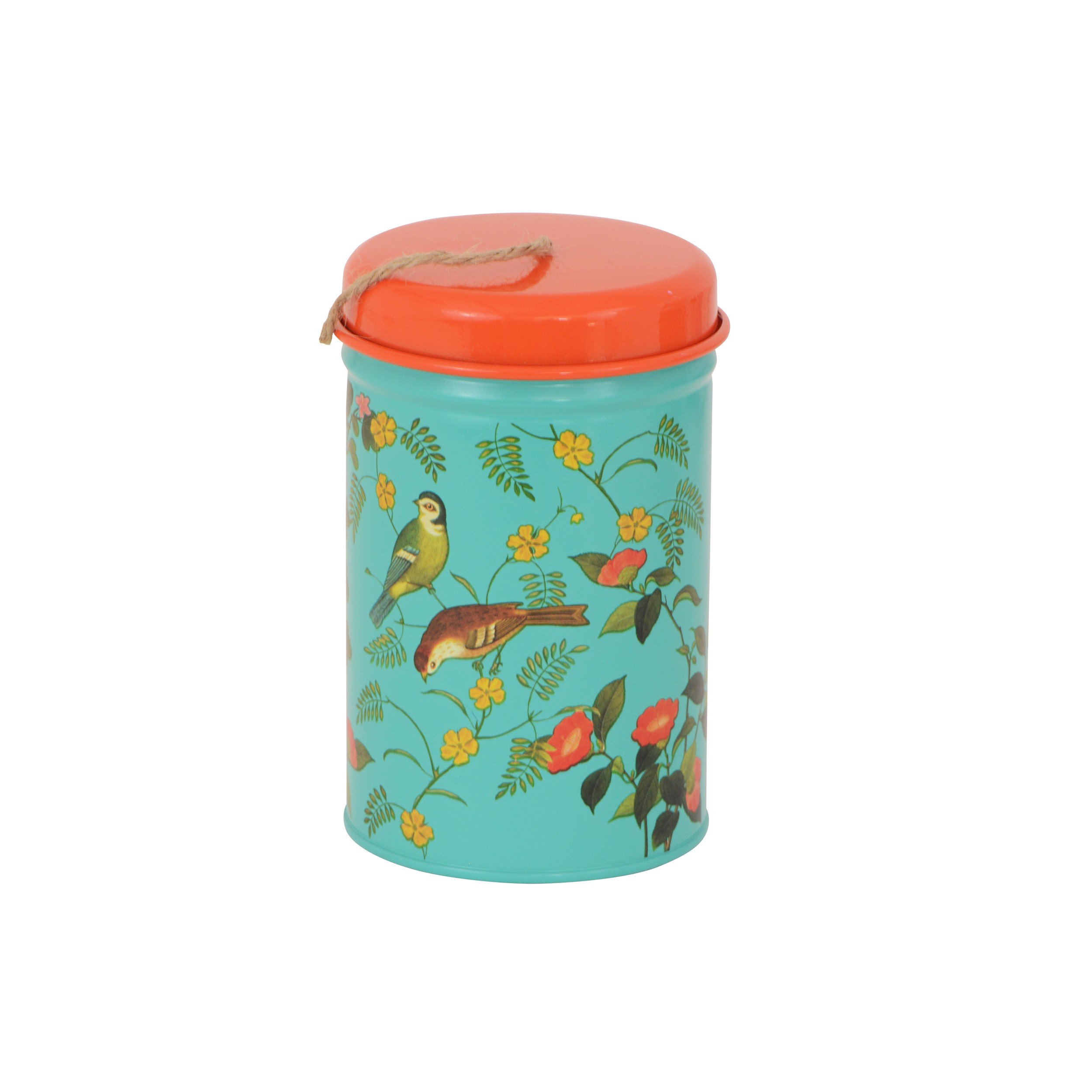 Burgon & Ball RHS Flora and Fauna Garden Twine in a Gift Tin, 120 Meters Length