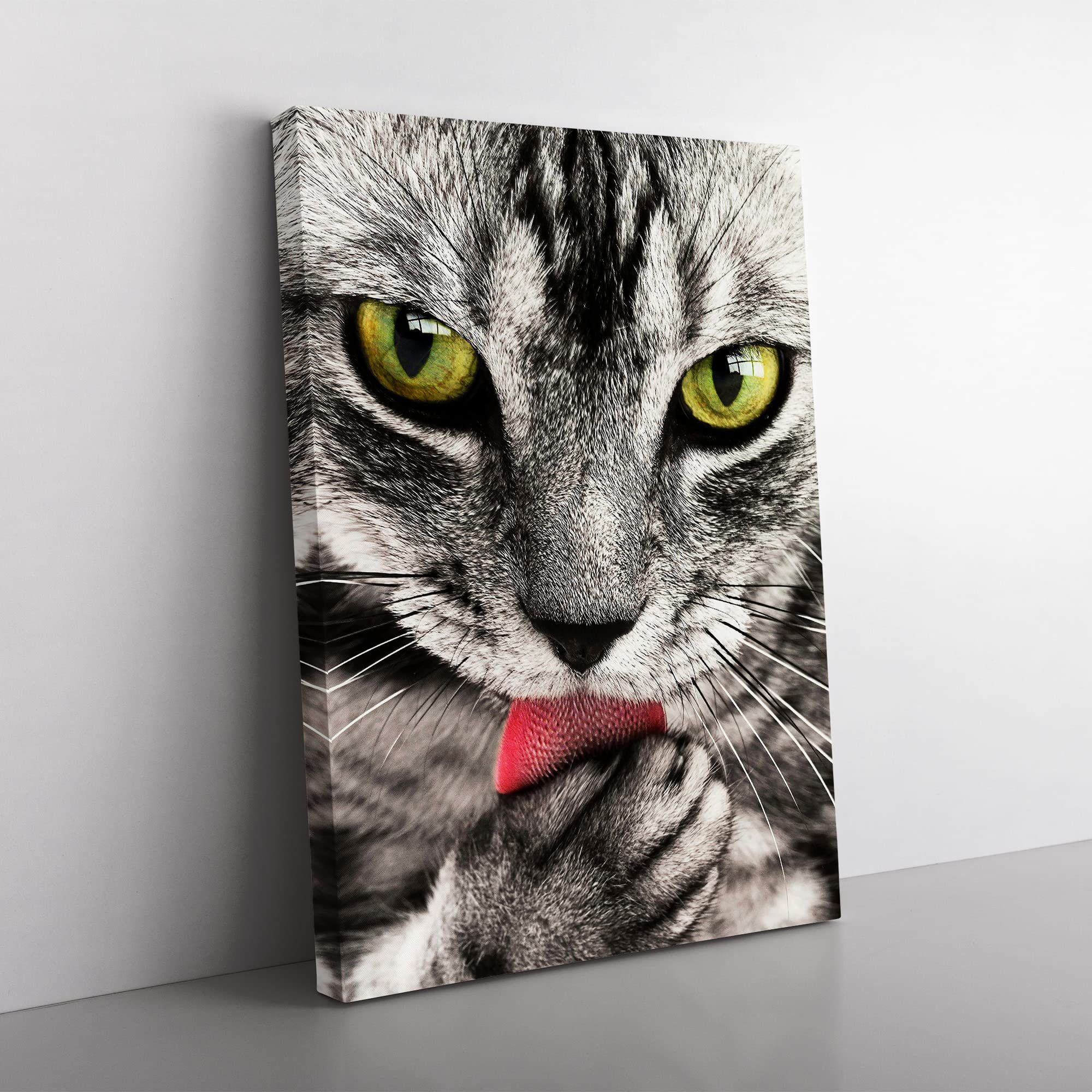 Tabby Cat Licking Its Paw Modern Canvas Wall Art Print Ready to Hang, Framed Picture for Living Room Bedroom Home Office Décor, 50x35 cm (20x14 Inch)