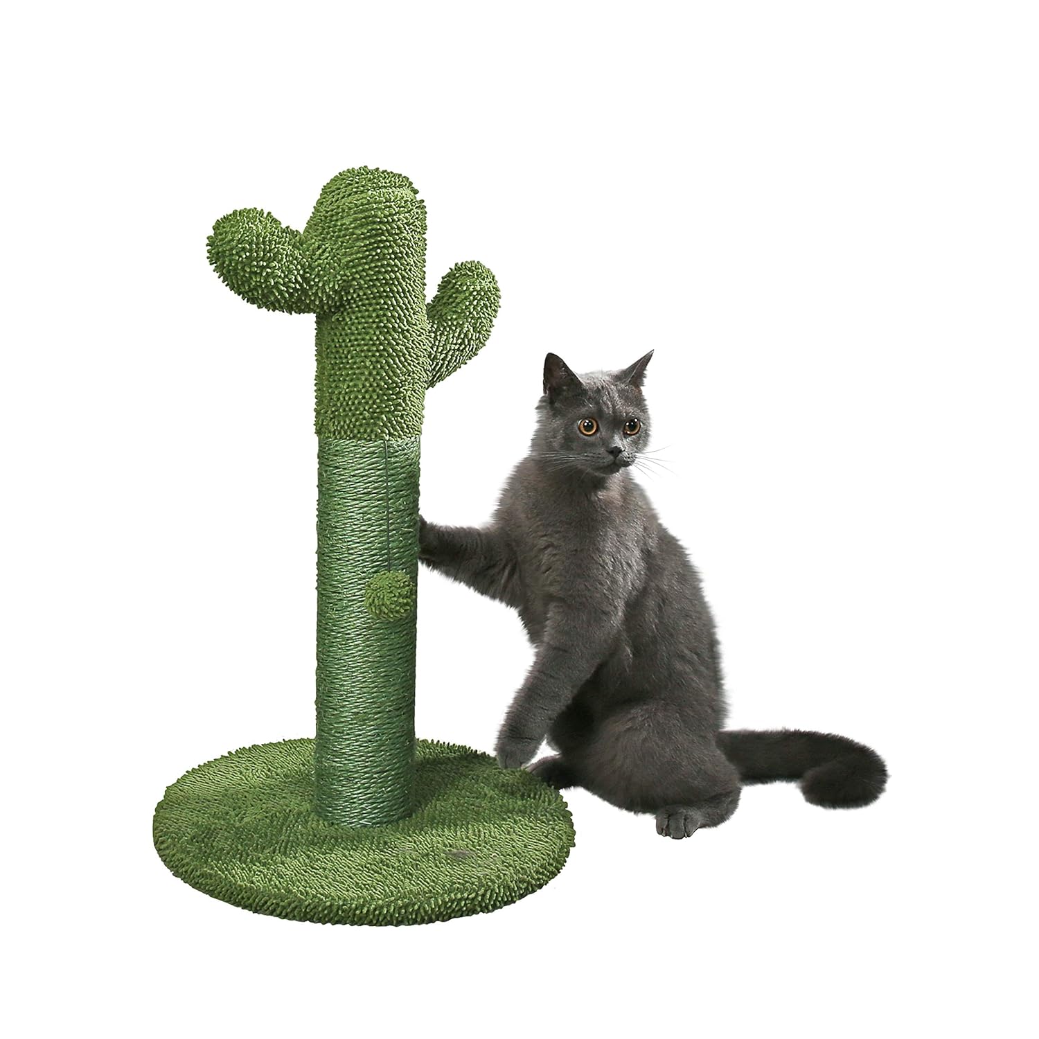 Petnpurr Cat Scratching Post With Teaser Ball The Cactus Cat Scratcher Your Cat Always Wanted Compare And Shop The Best Stuff In 2020 Cat Scratching Post Cat Scratcher Cactus Cat