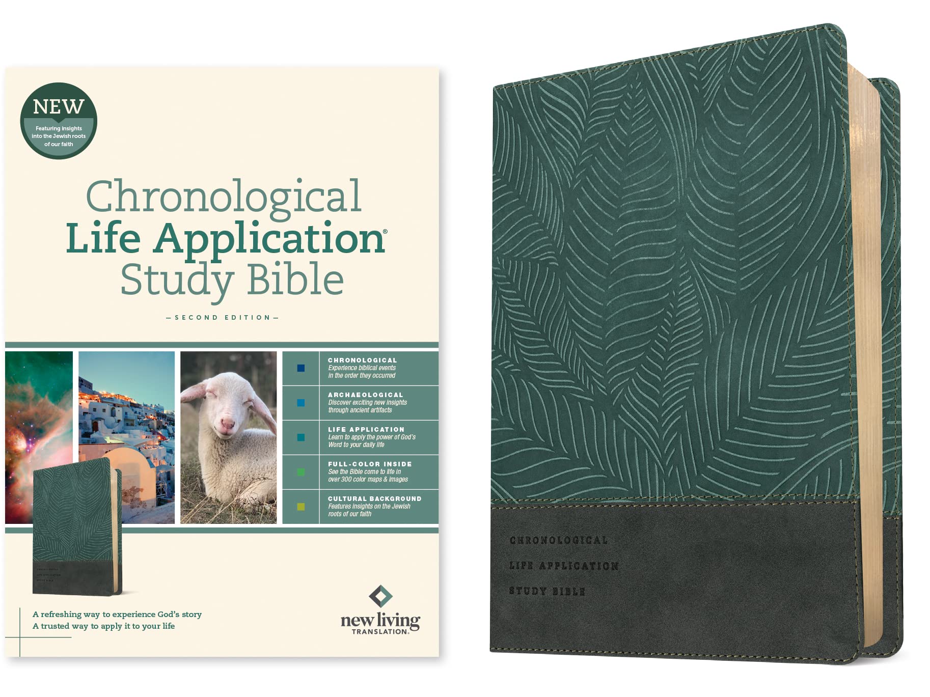 NLT Chronological Life Application Study Bible, Second Edition (LeatherLike, Palm Forest Teal) NLT Chronological Life Application Study Bible, Second Edition (LeatherLike, Palm Forest Teal) Imitation Leather