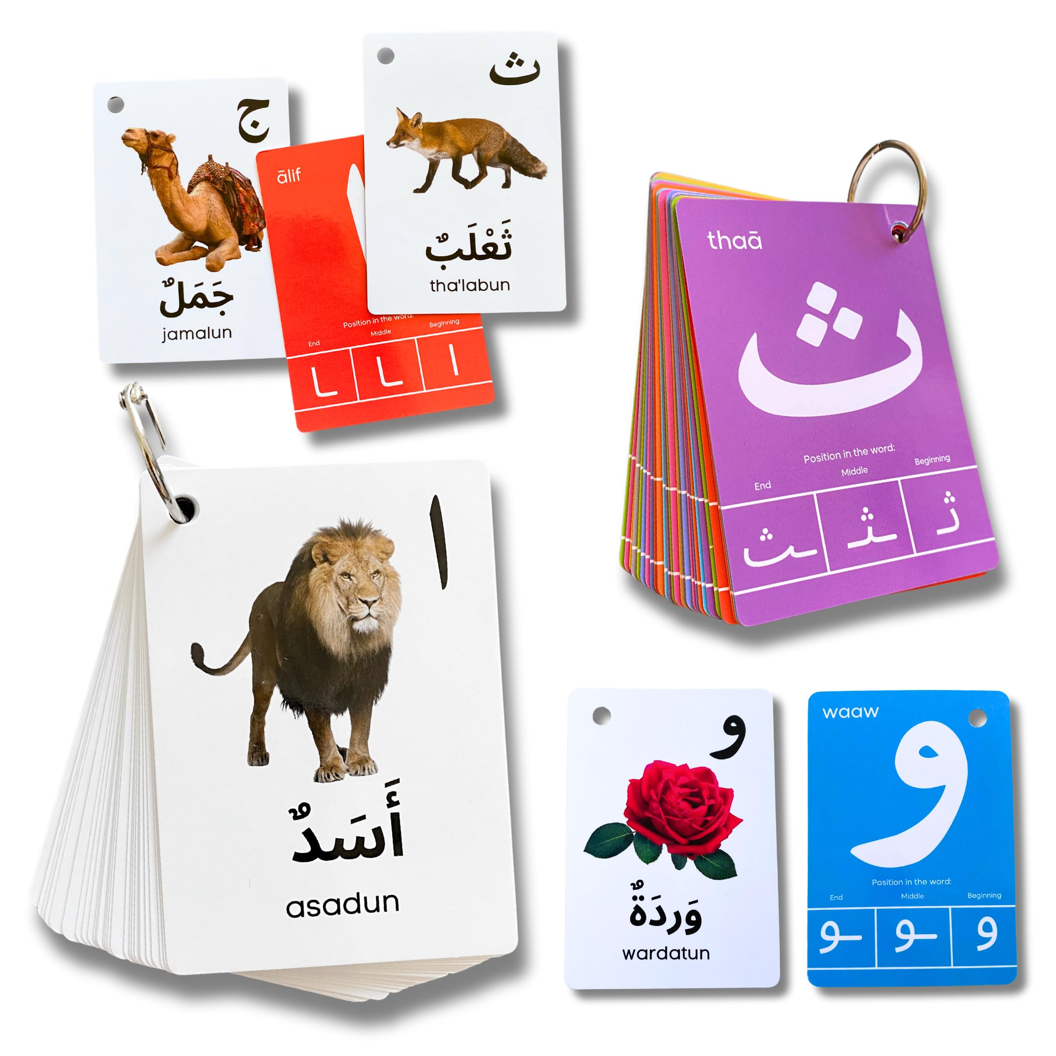 Albidaya Islamic Store Arabic Alphabet Flash Cards, Alif Baa Alphabets, Arabic First Words, Letter Recognition, Positions, Arabic Teacher