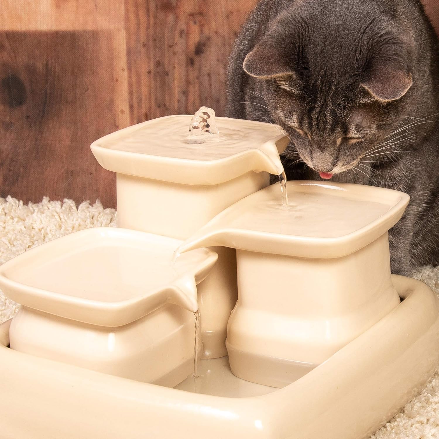 miaustore cat water fountain