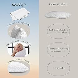 Coop Home Goods Original Pillow Case, Queen Size