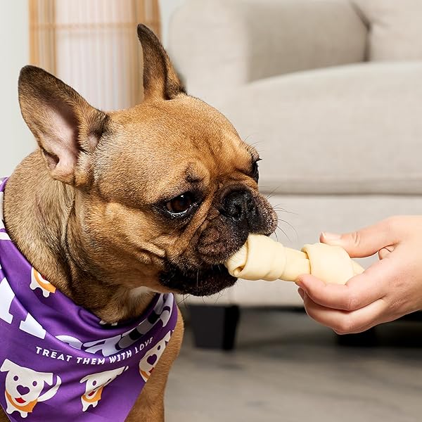 TREATLY USA BEEFHIDE BONES 5-6″ DOG CHEW TREATS – CHICKEN FLAVOR, 7 COUNT/1 PACK