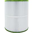 Guardian Filtration Products Spa Filter Cartridge 810-235-01 Replacement for Pleatco PWK65, Unicel C-8465, Filbur FC-3960 | 65 Sq. Ft. of Premium Filter Cartridge Material | Model 810-235
