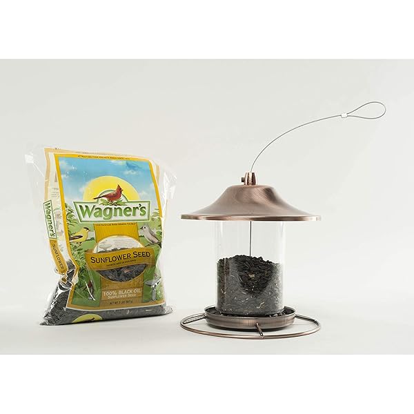 WAGNER’S 52023 BLACK OIL SUNFLOWER SEED WILD BIRD FOOD, 5-POUND BAG