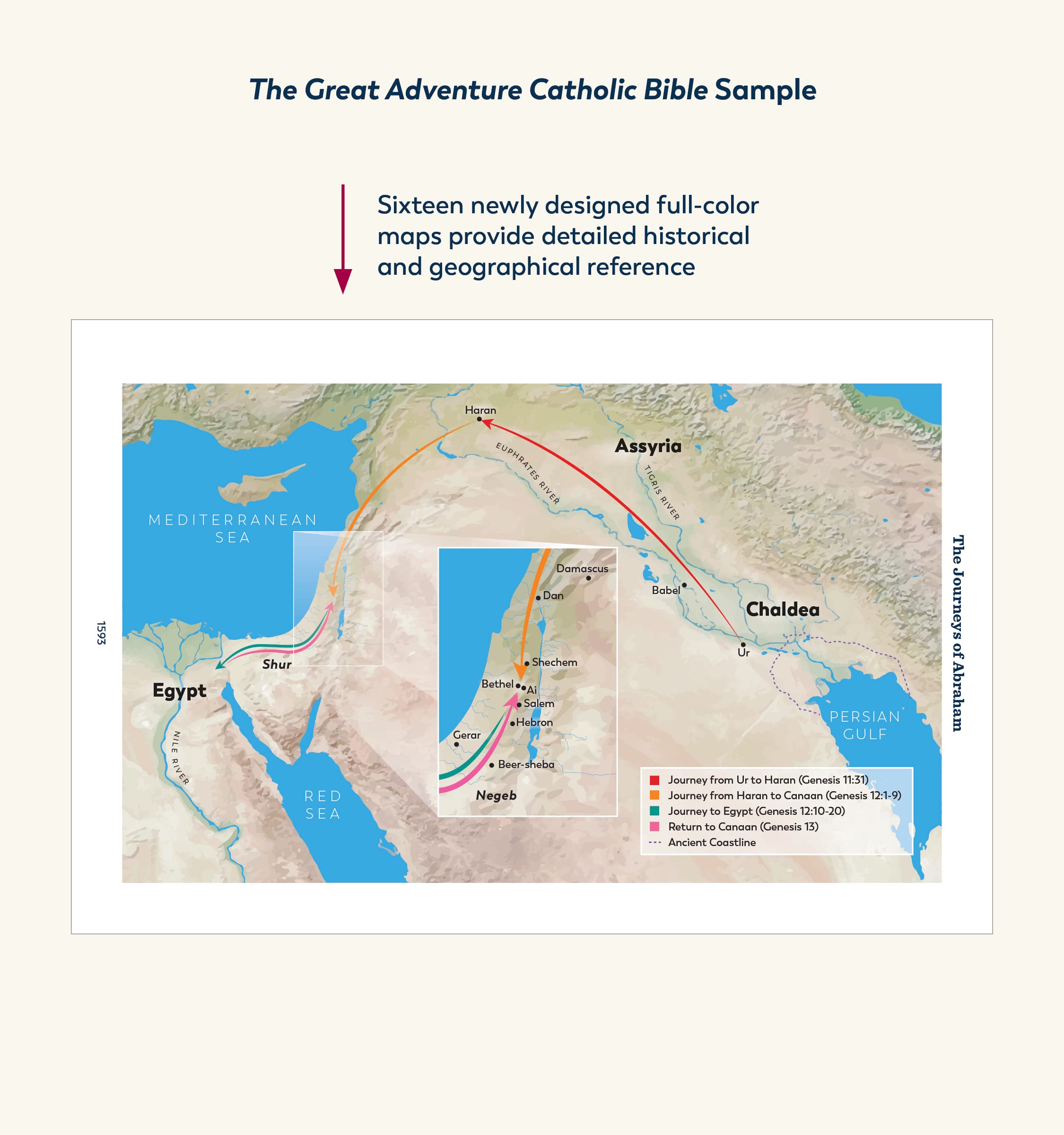 The Great Adventure Catholic Bible (Paperback)