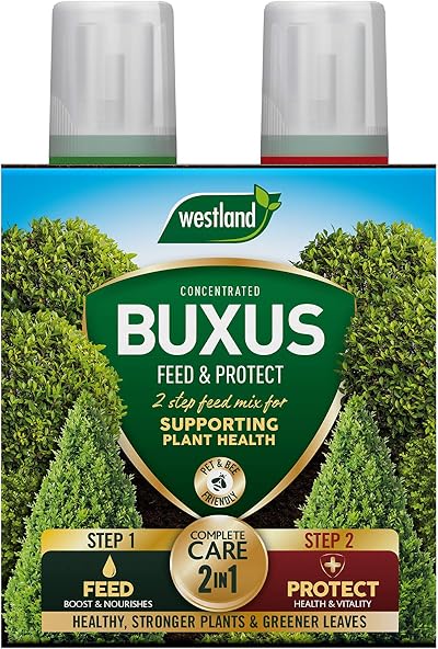 Westland Buxus Feed & Protect 2 in 1 Concentrates 2 x 500 ml Green