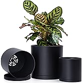 D'vine Dev 4.5 Inch 5.5 Inch 6.5 Inch, Set of 3 Plastic Planter Pots for Plants with Drainage Hole and Seamless Saucers, Black Color, Small Plus, 74-V-B-2