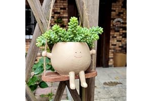 Yeria Swing Face Planter Pots,Hanging Planters for Indoor Plants,Gardening Pots, Planters & Accessories,String of Pearls Plant Live,Plant Holder,Swinging Plant Pot,Home Decor & Gifts