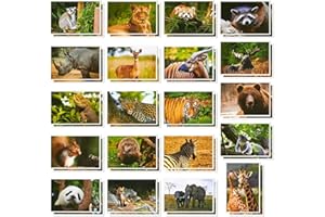 40 Pack Wild Animal Postcards Bulks in 20 Designs for Kid, Tigers Bears Giraffes Elephants, 4x6