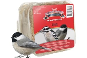 Armstrong Royal Jubilee Peanut Select 3 Pack Suet Cakes 960g, One Size 1 Pack