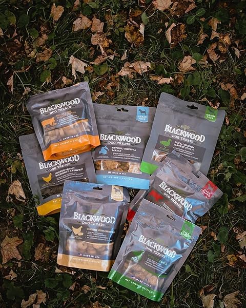 BLACKWOOD OVEN BAKED DOG TREATS, DUCK WITH APPLE, 8 OUNCE POUCH, TRAINING TREATS FOR ALL LIFE STAGES AND BREED SIZES