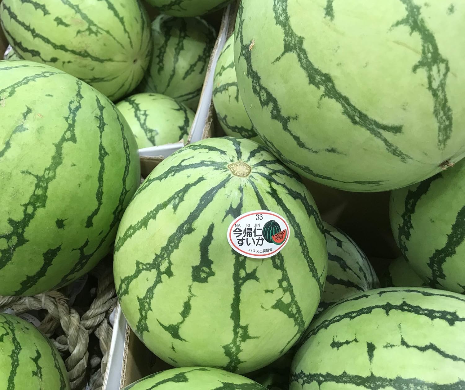 Amazon 沖縄県産フルーツ 今帰仁スイカlサイズ 約3 5ｋｇ 1個 沖縄の八百屋さん すいか 通販
