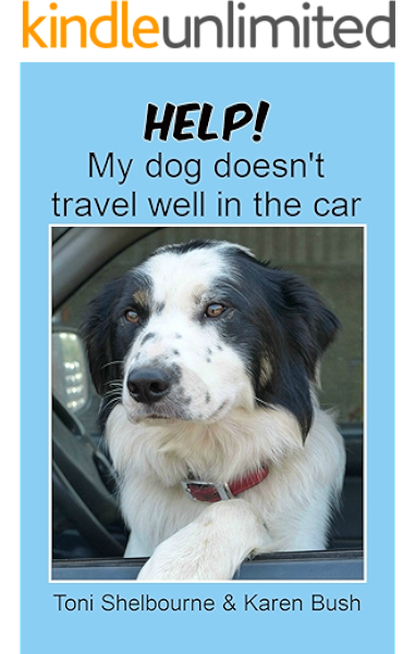 what can i give my dog for car sickness