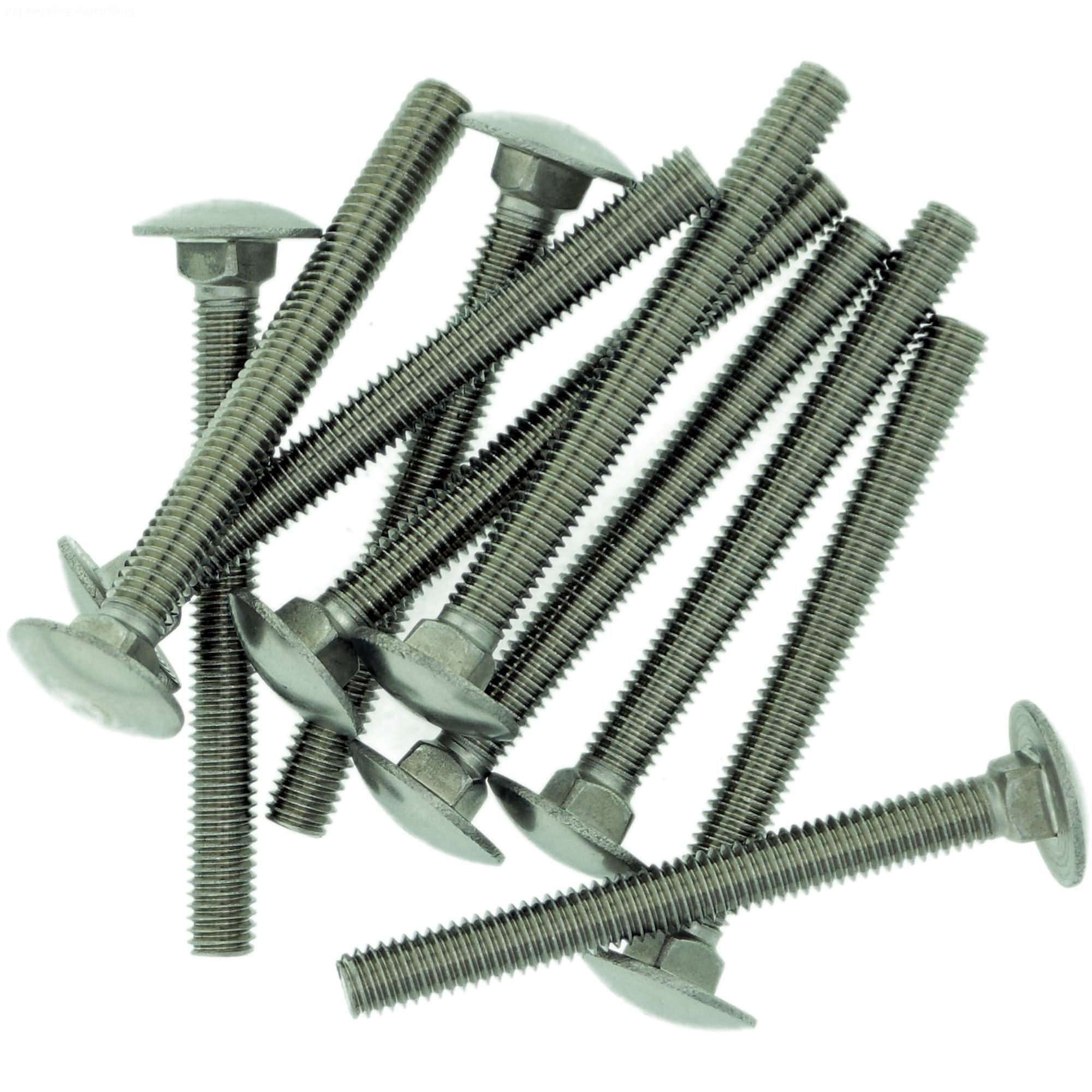 M8 (8mm x 20mm) Cup Square Carriage Bolt (Fully Threaded) - Stainless Steel (A2) (Pack of 10)