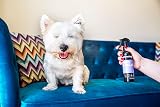 Animology Paws & Relax Aromatherapy Dog Spray 250ml view 7