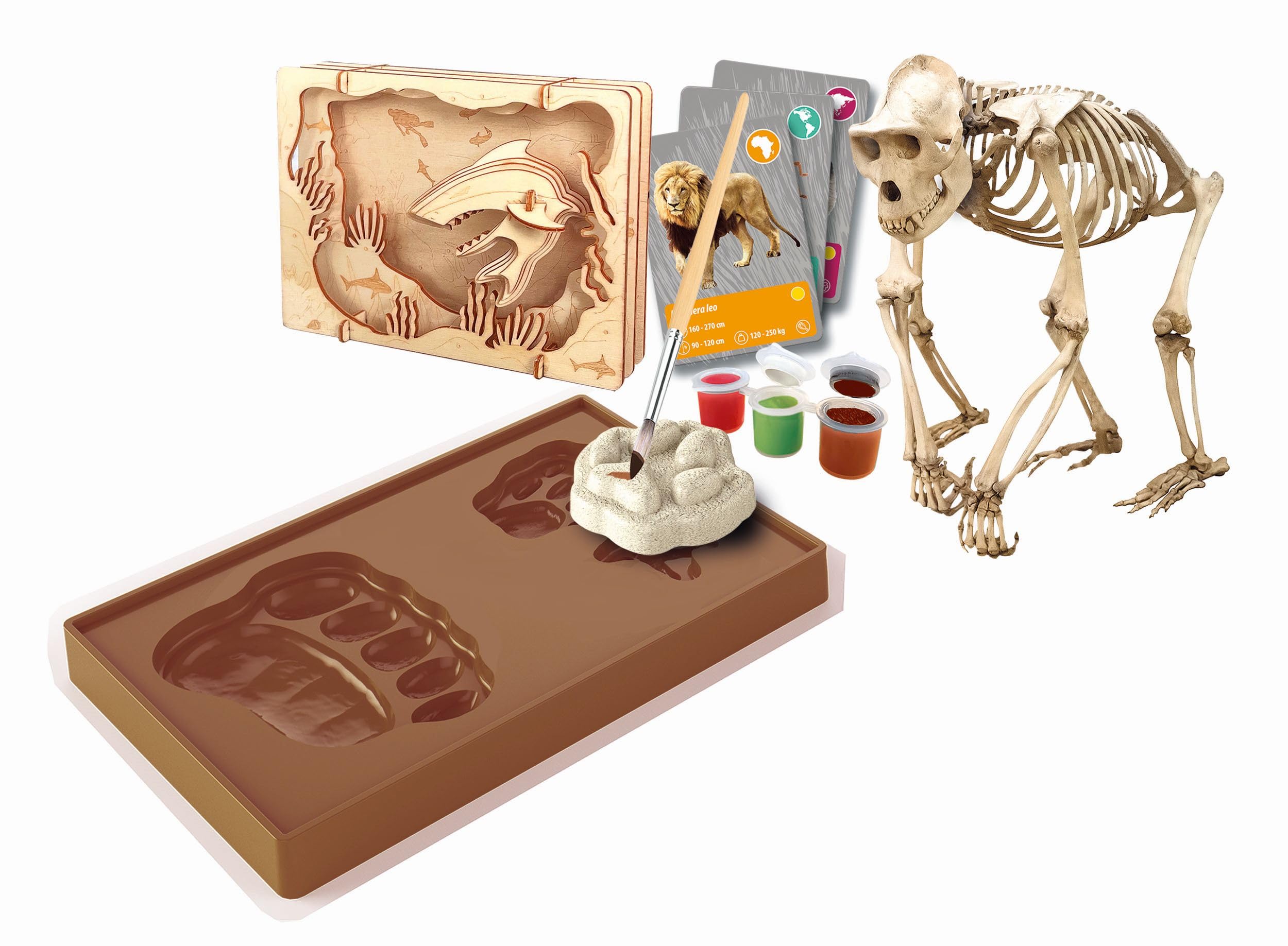 Galileo Lab Entdeckungs-Set „Tiere auf unserer Erde - Experimentierkasten & Spielzeug für Kinder ab 8 Jahren von Clementoni 59400 2