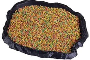 Everydayers Gecko Cave Reptile Feeding Tray – Naturalistic Pet Dish for Lizards, Snakes, Bearded Dragons, Tortoises & Turtles - Black