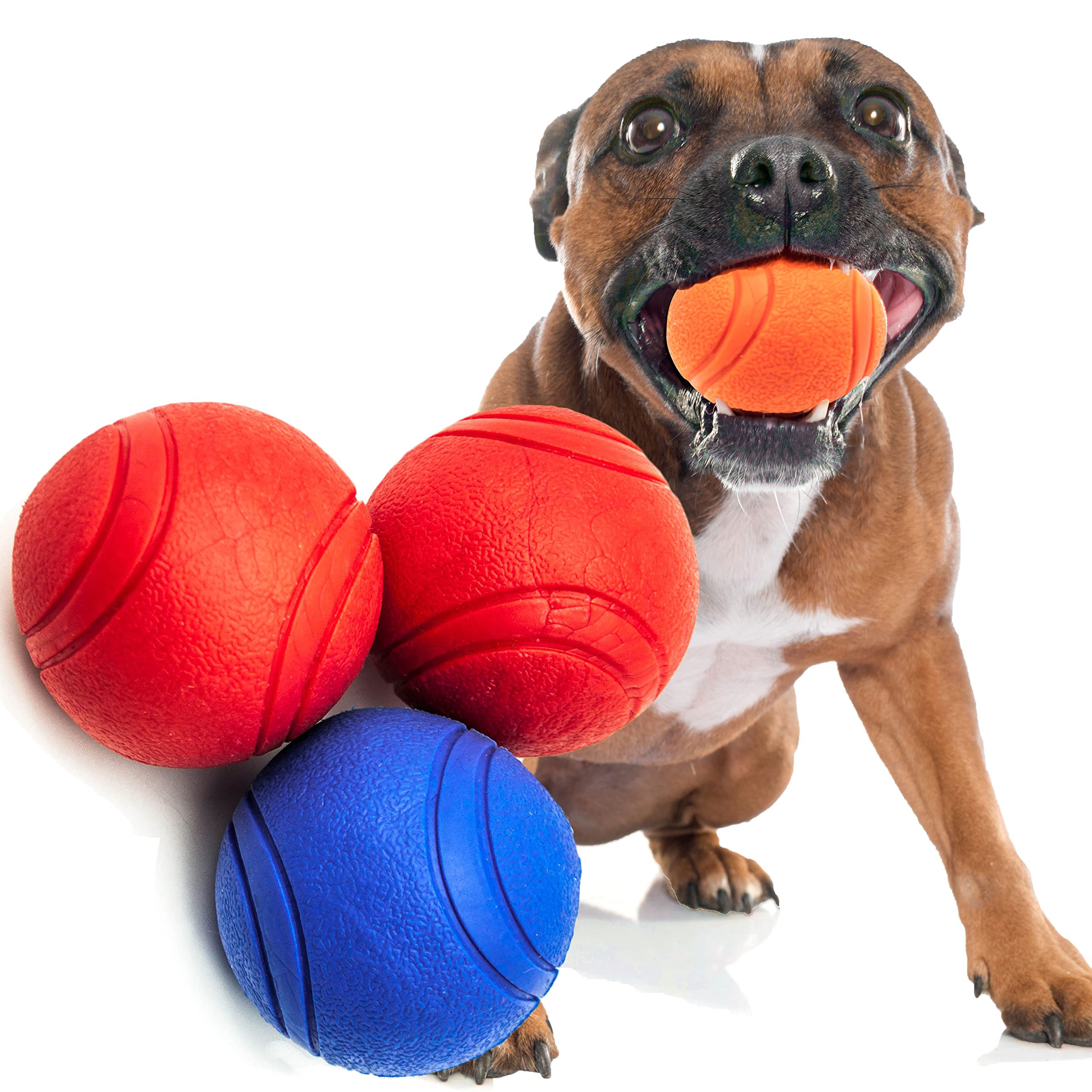 3x 6cm Dogs High Bouncing Rubber Ball – Solid Core – Interactive Training, Virtually Tough Indestructible Dog Toys for Boredom, Bouncy, Strong Balls, Fetch Play, Teething (2.5 inches, Blue & Red) — image 1