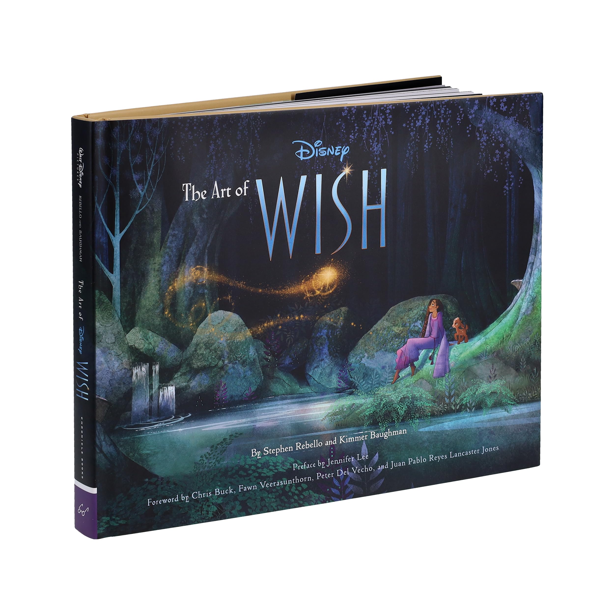 The Art of Wish (Disney)