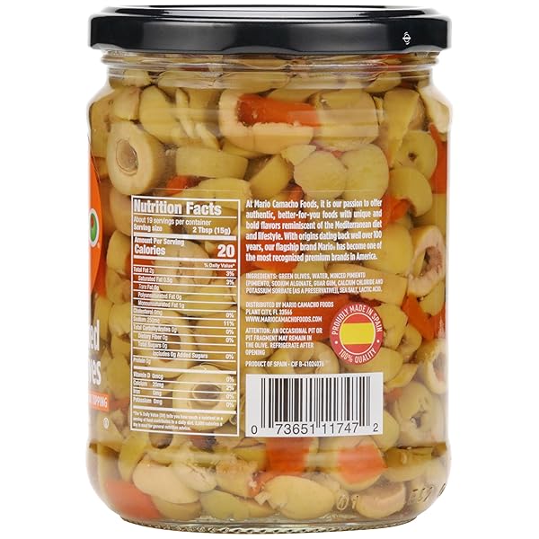 MARIO CAMACHO FOODS SALAD SLICED SPANISH MANZANILLA OLIVES, 10 OUNCE