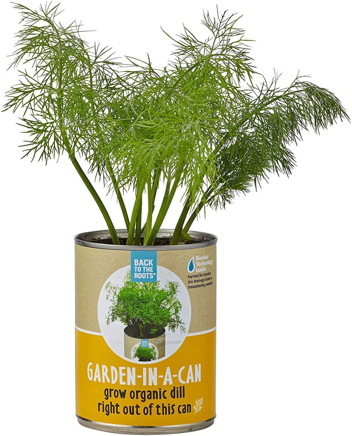 ANVIN Back to The Roots Organic Garden in a Can with Seeds and Bio-Char Soil, Dill