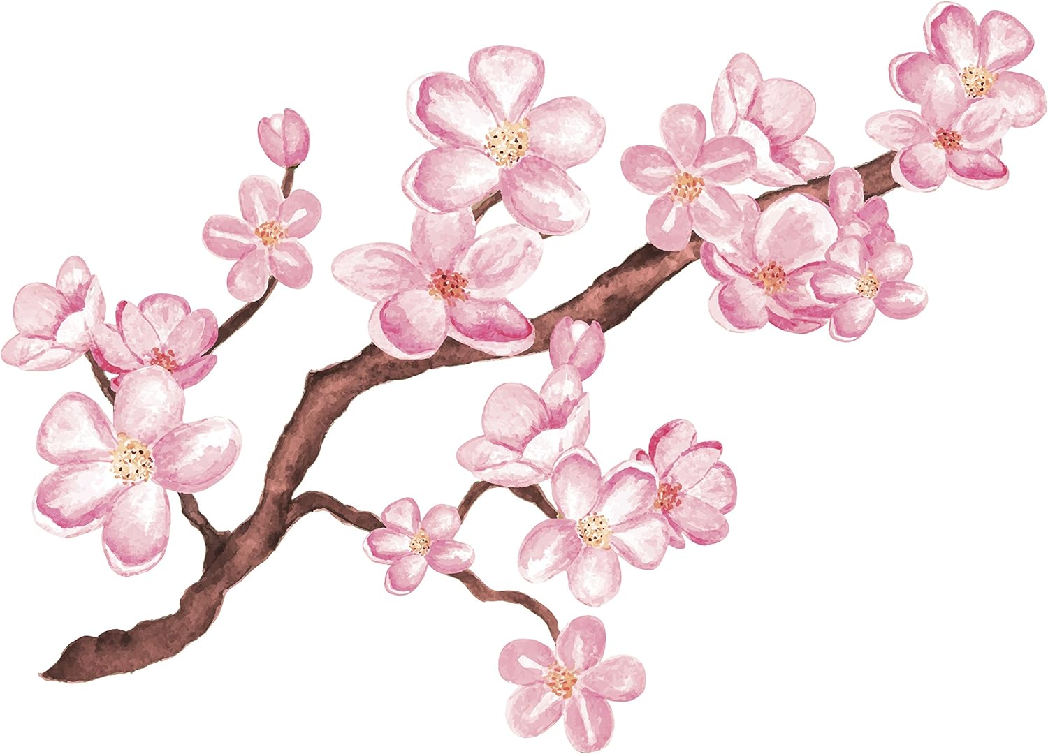 Cherry Blossom Branch Picture