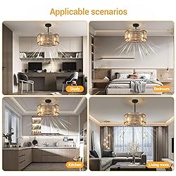 Zhizenl Ceiling Fan with Lights, 6 Speeds