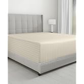 California Design Den Softest 100% Cotton Sateen Queen Fitted Sheets, Ivory | 500 Thread Count Backed by Good Housekeeping Seal, All-Around Elastic, No-Pop Fit, Durable, OEKO-TEX