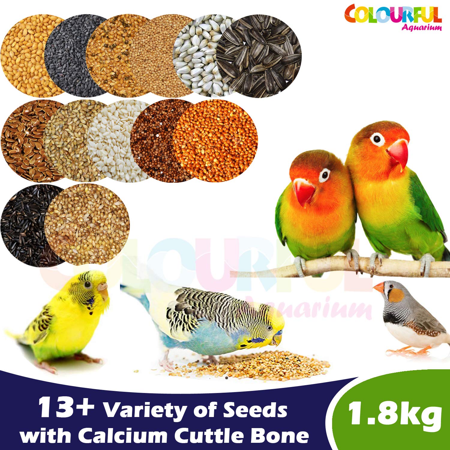Buy COLOURFUL AQUARIUM™ Natural & Healthy Birds Food for Budgies