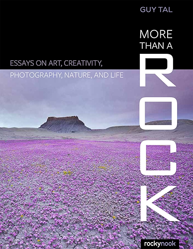 Download More Than a Rock: Essays on Art, Creativity, Photography, Nature, and Life (English Edition) PDF