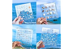 MGLIFEUL 36 Grid Clear Acrylic Magnetic Seashell Display Collecting Box, Acrylic Shadow Box for Tiny Treasure Hunting Seashell Holder Display Grid Cabinet Case Box,Display Seashell Jewelry Crystal