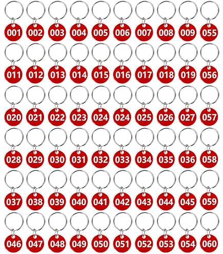 UNICRAFTALE Lot De 20 étiquettes Rondes Numérotées De 1 à 20 En Acier Inoxydable Avec Anneaux D'identification Avec Trous Plats Et Ronds En Métal