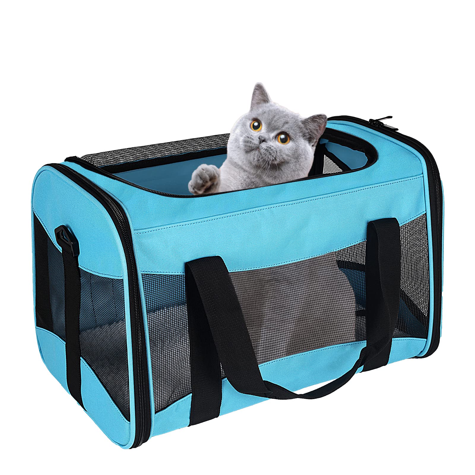 Photo 1 of Cat Carrying Case - Pet Carrier Airline Approved, Protable and Breathable Pet Travel Carrier Removable Fleece Pad, Collapsible Cat Carrier Dog Carrier for Medium Cats Small Cats Dogs(Medium, Blue)