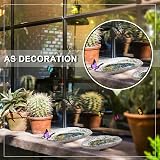 Huquary 2 Sets Bee Watering Station Butterfly Waterer Feeder Bath Bowl 40 Beads view 6