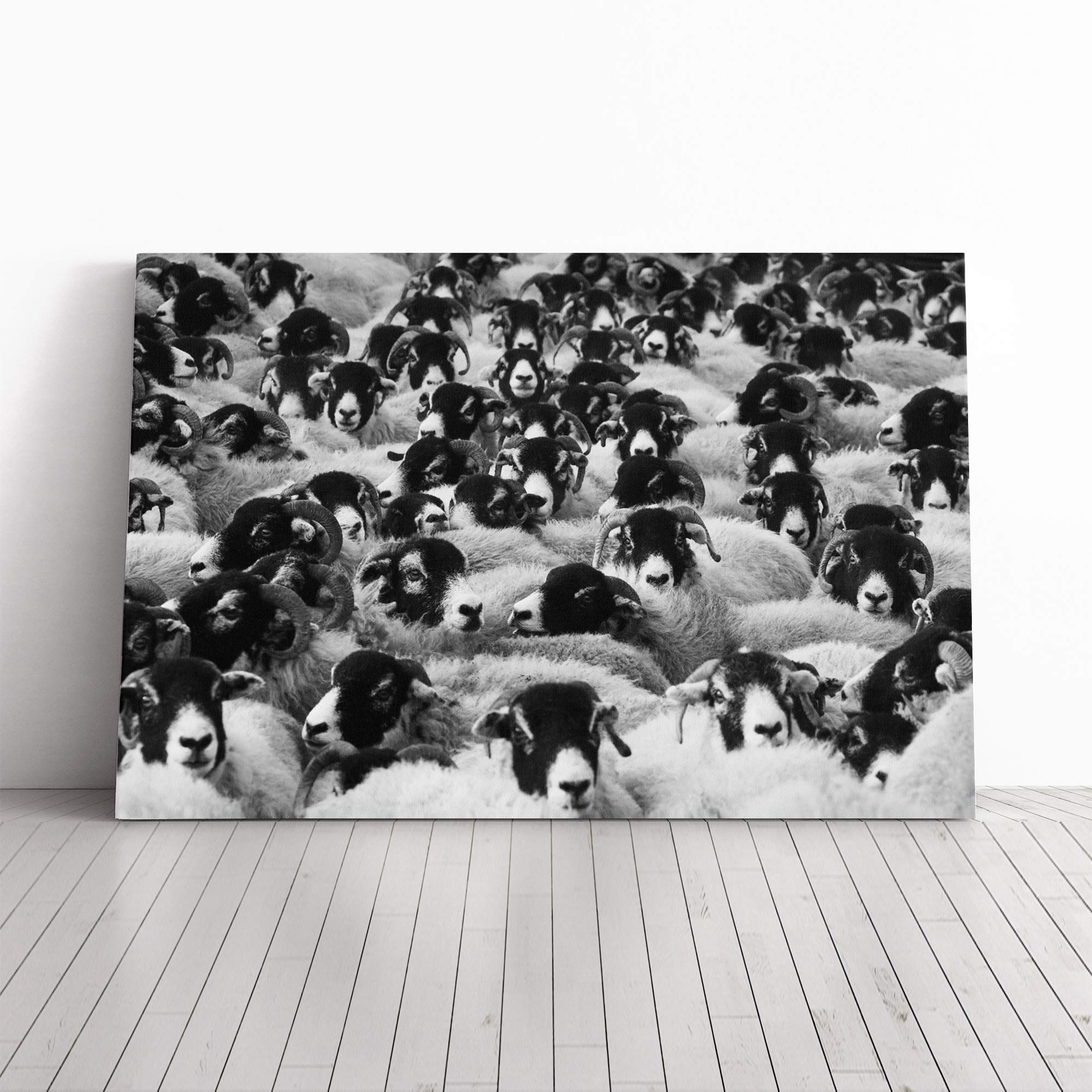 Flock of Sheep Canvas Print | Gallery Wrapped 30mm Frame Wall Art | 20x14 inches | Ready to Hang | Modern Animals Picture | Living Room Bedroom Lounge Office