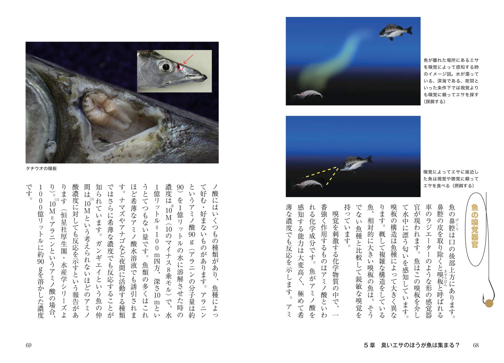 科学で迫る 釣りエサのひみつ 魚を誘う 色 匂い 味 形 硬さ 大きさ 音 Amazon Com Books