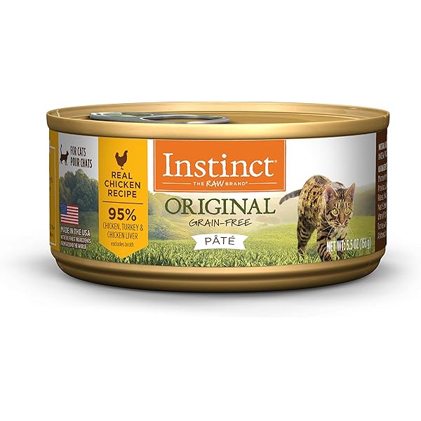 instinct cat food kitten