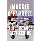 The Distance Between Us: A Novel