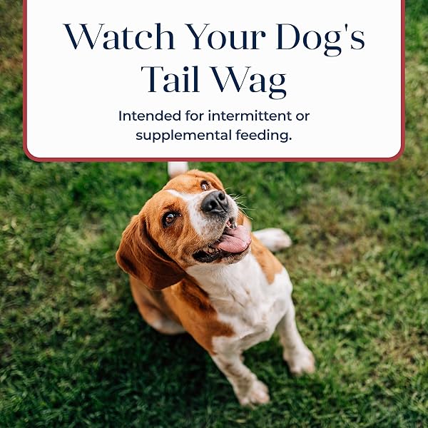 BLUE BUFFALO BASICS CRUNCHY DOG BISCUITS FOR SKIN & STOMACH CARE, LIMITED INGREDIENT DIET DOG TREATS, SALMON & POTATO RECIPE, 6-OZ. BAG