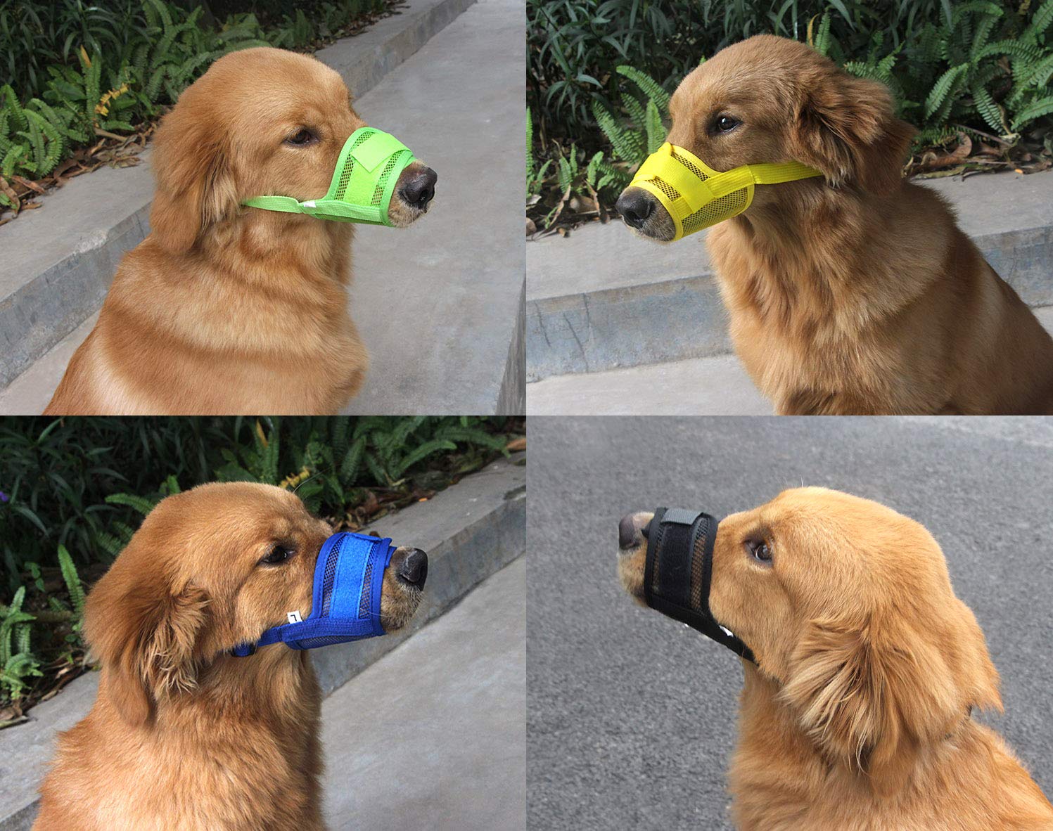 Намордники для собак колли. Как сделать так чтобы собака не лаяла. Псина лает. Намордник для шелти. Типы лая у собак.