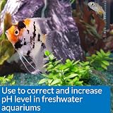 API pH Up Freshwater Aquarium pH Raising Solution 118 ml view 2