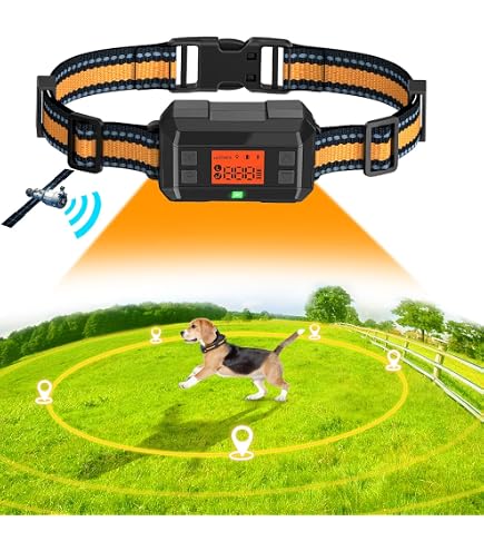 Dog Wireless Fence Pet Training Collar GPS 2 in 1 System, Wireless