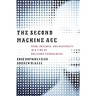 The Second Machine Age: Work, Progress, and Prosperity in a Time of Brilliant Technologies
